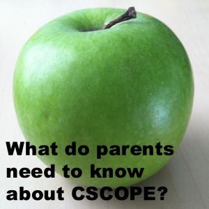 What do parents need to know about CSCOPE? | San Antonio Charter Moms